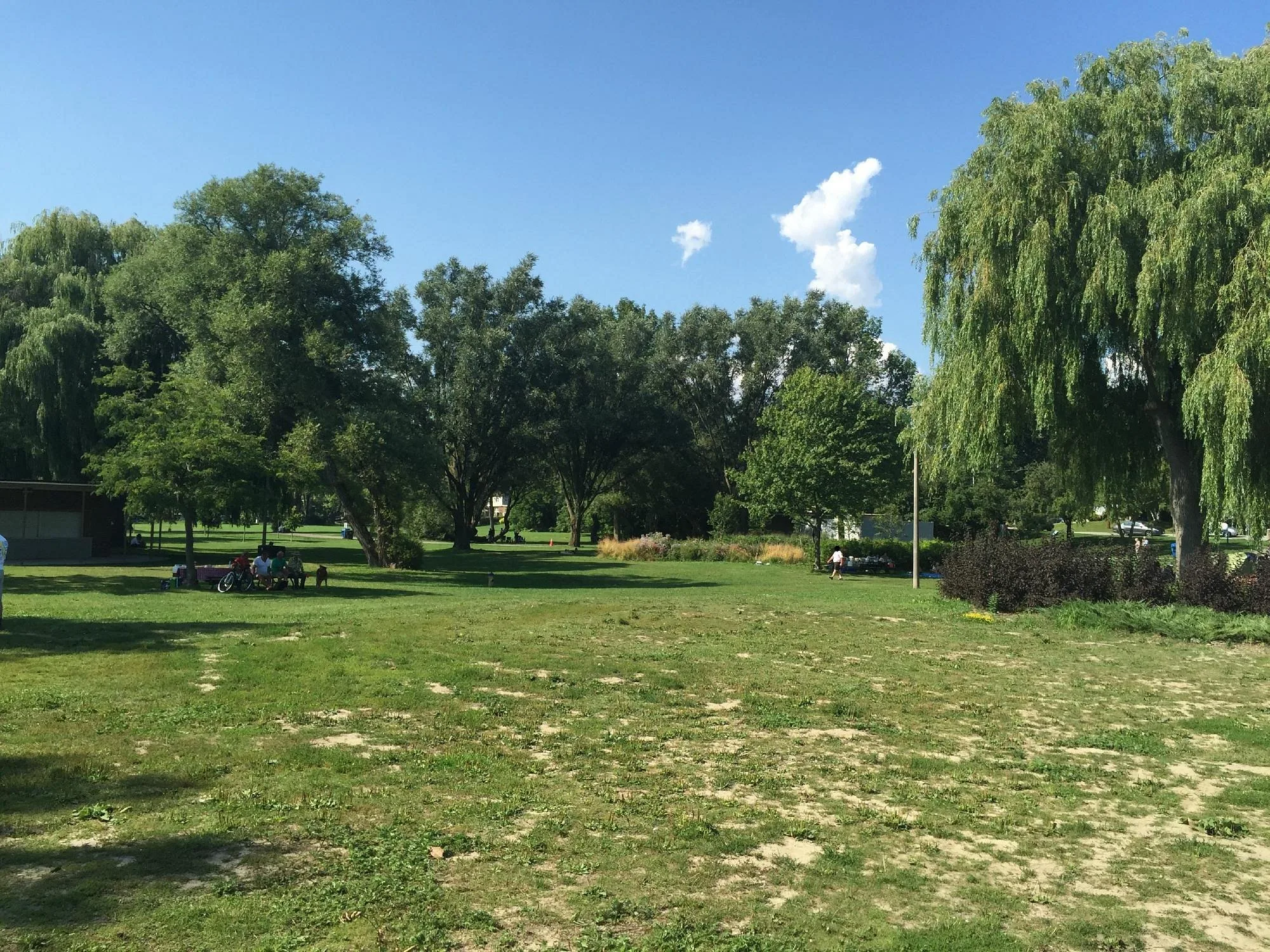 marie-curtis-park-tree